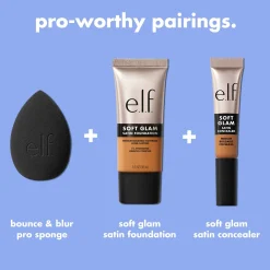 Bounce & Blur Pro Sponge