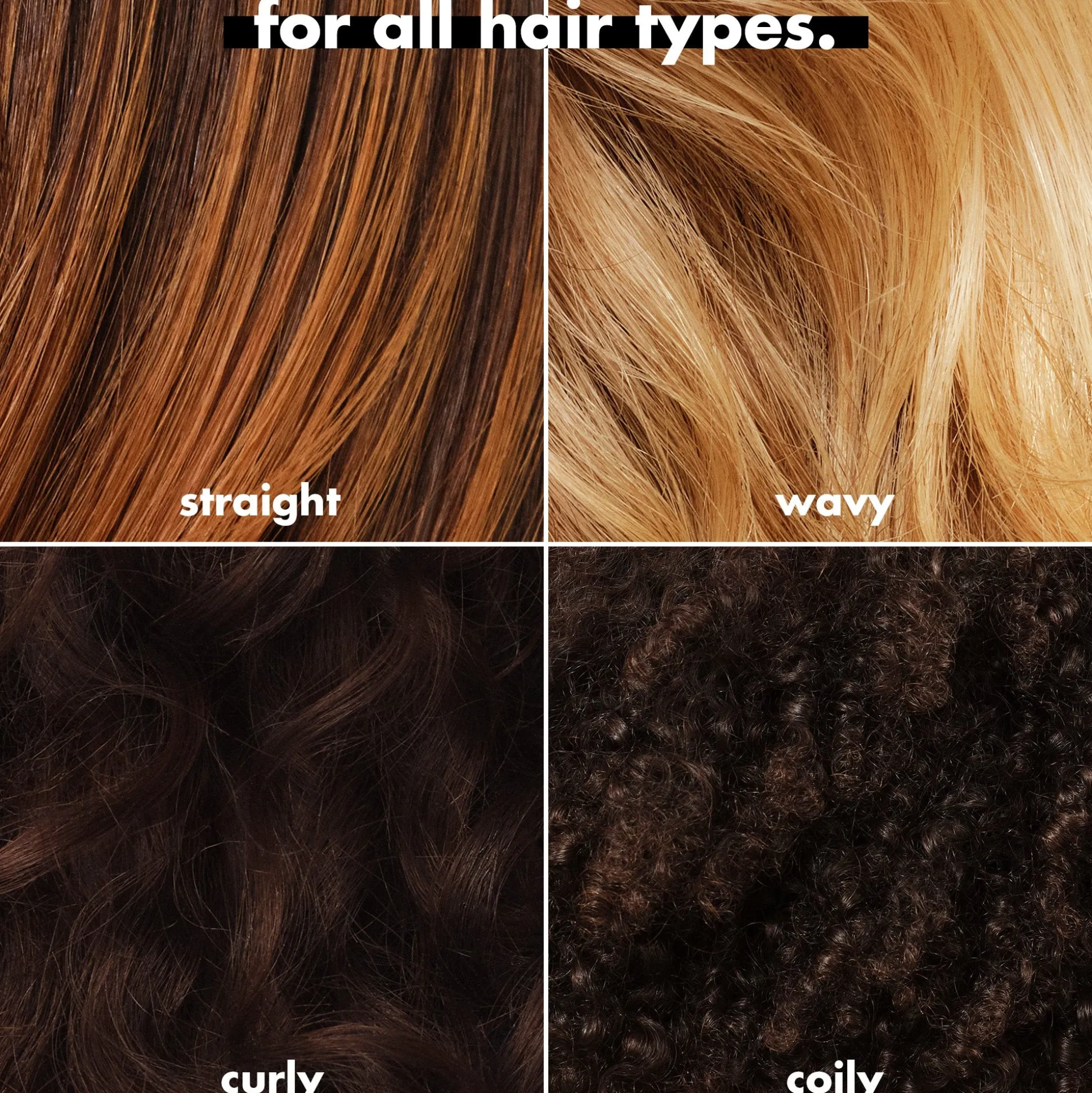 Frizz To Rizz Trio
