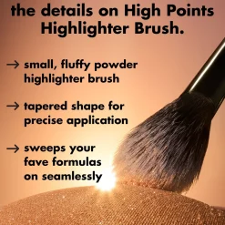 High Points Highlighter Brush