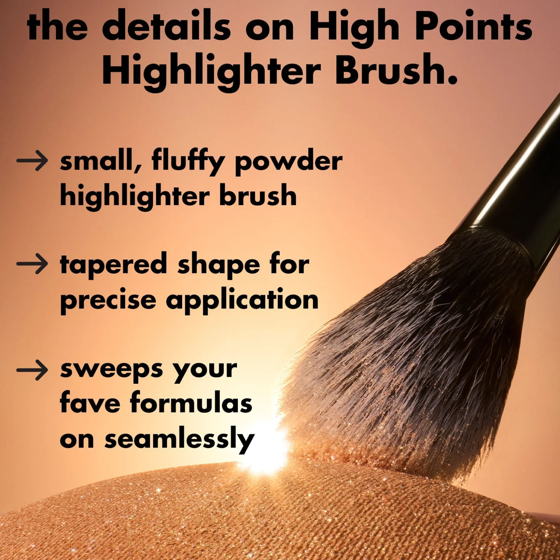 High Points Highlighter Brush