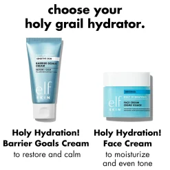 Holy Hydration! Barrier Goals Cream