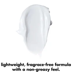 Holy Hydration! Face Cream Fragrance Free