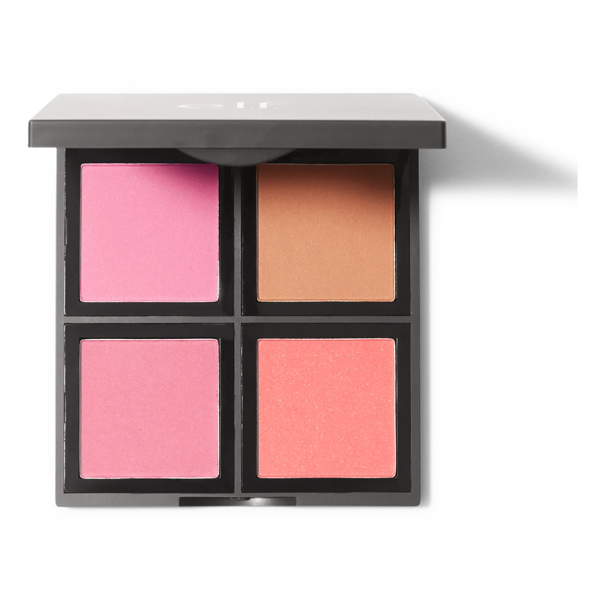 Powder Blush Palette