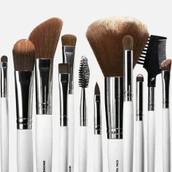 Professional Set of 12 Makeup Brushes
