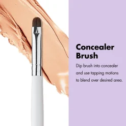Professional Set of 12 Makeup Brushes