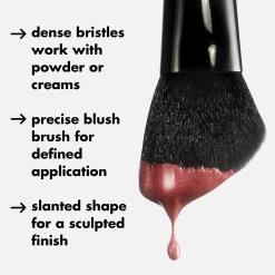 Ten Out of Ten Brush Kit